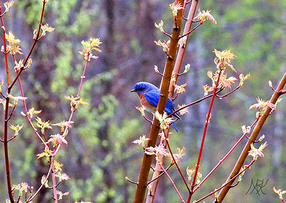 In Our Neighborhood/