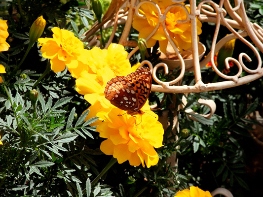 In Our Neighborhood/