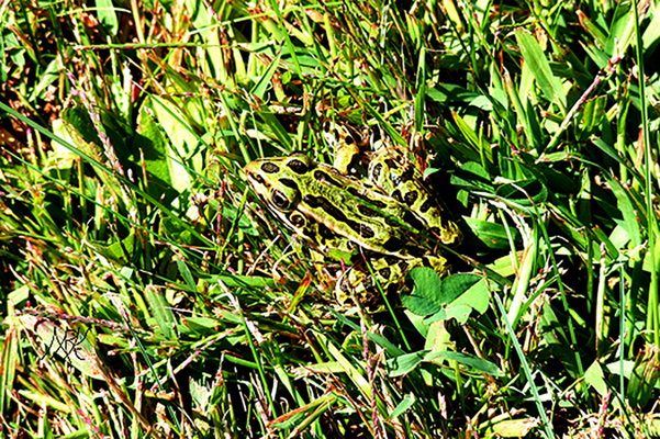 In Our Neighborhood/