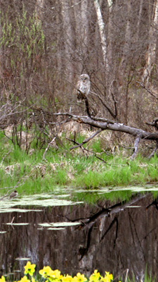 In Our Neighborhood/