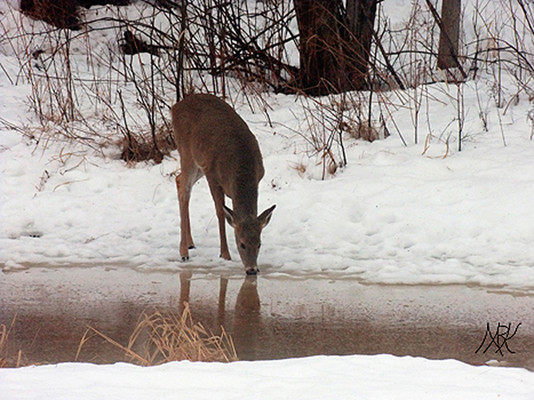 In Our Neighborhood/