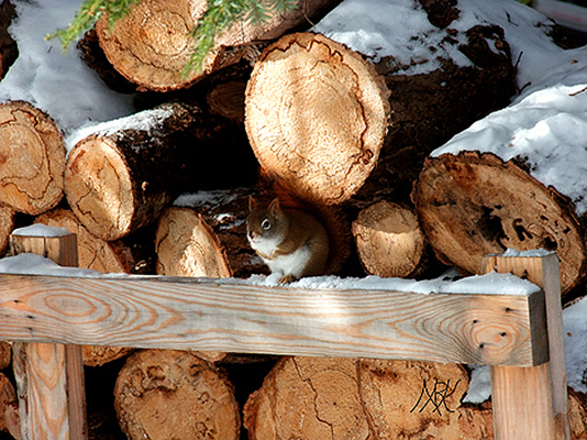 In Our Neighborhood/