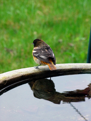 In Our Neighborhood/