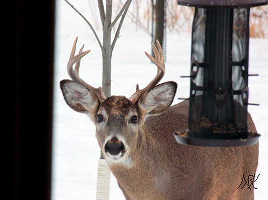 In Our Neighborhood/