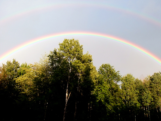 In Our Neighborhood/