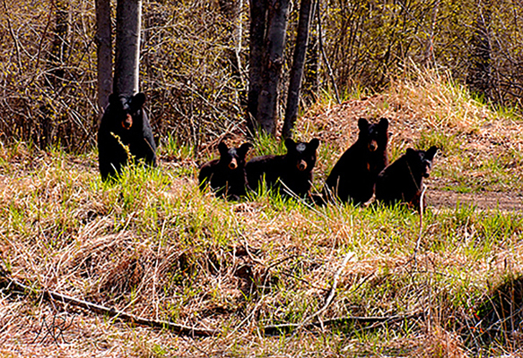 In Our Neighborhood/