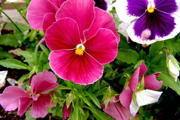 In Our Neighborhood/