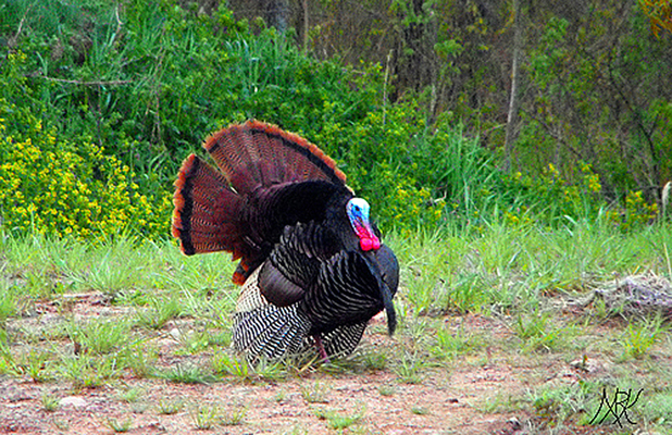 In Our Neighborhood/