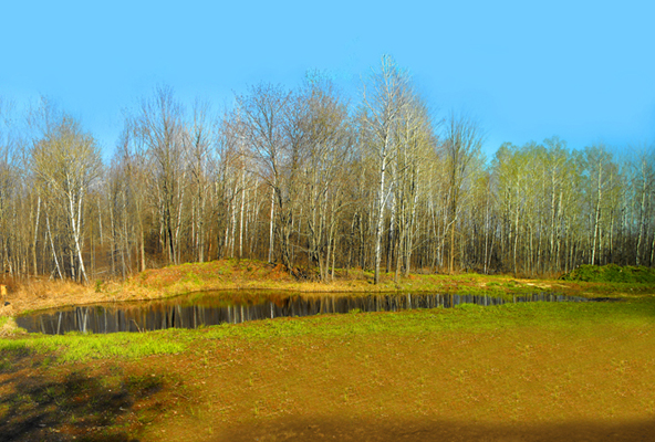 In Our Neighborhood/