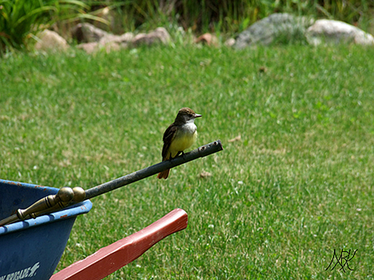 In Our Neighborhood/