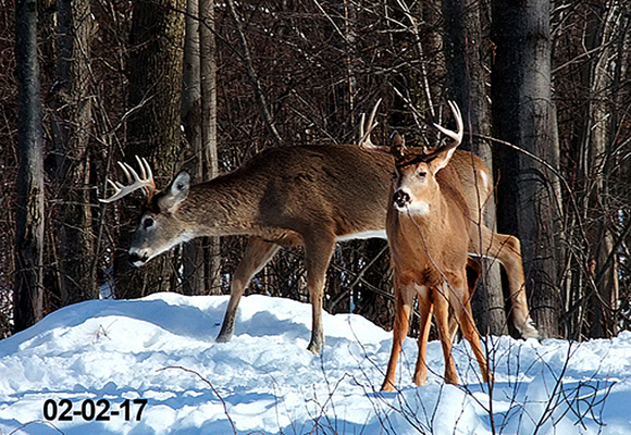 In Our Neighborhood/